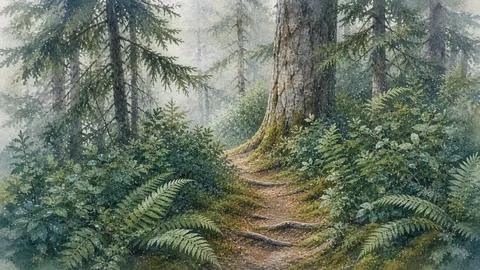 Watercolor forest path through evergreen trees and ferns